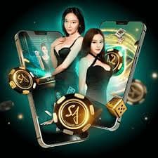 vn6vip